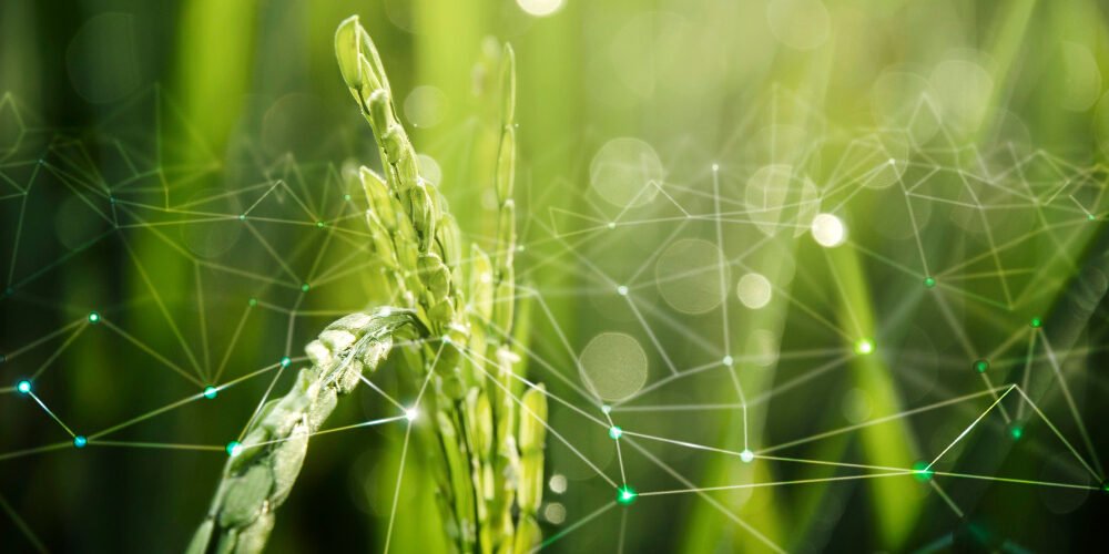 7 practices of sustainable agriculture