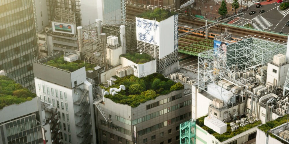 Construire pour demain : Pouvoir d'une architecture durable