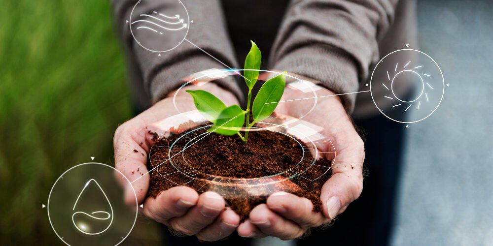 Idée écologique aider l'environnement de manière simple